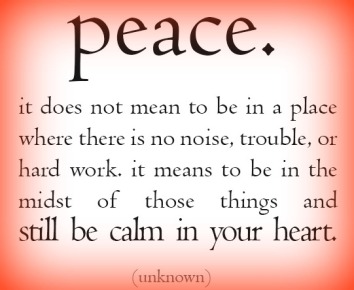 peace-it-does-not-mean-to-be-in-a-place-where-there-is-no-noise-trouble-or-hard-work